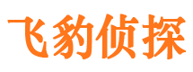 禅城捉小三公司